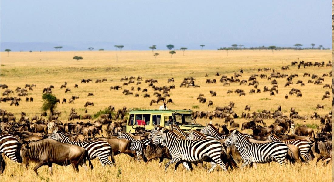 非洲心脏:坦桑尼亚的生物多样性与文化探索